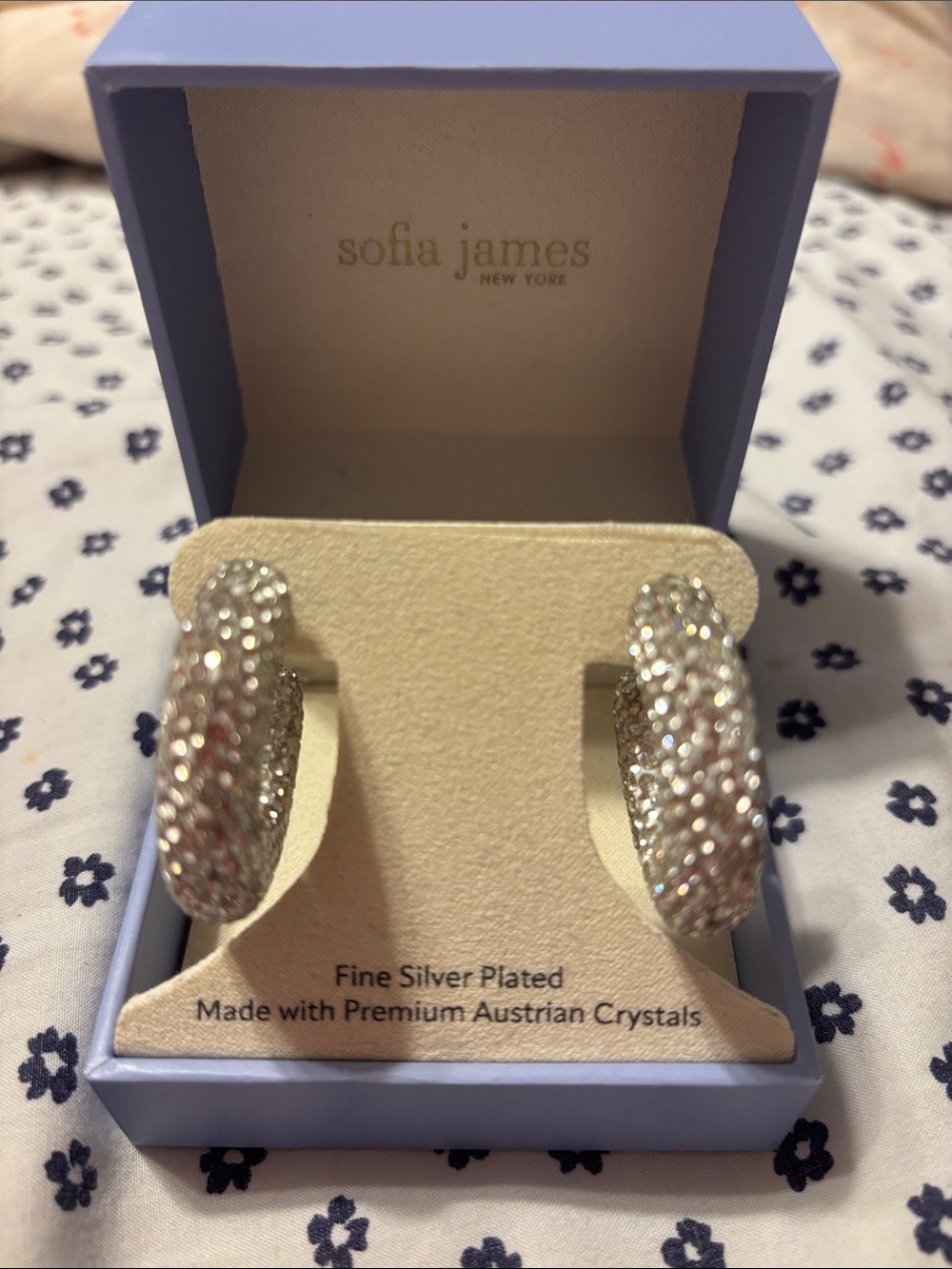 Sofia James fine Silver-Plated Crystal Hoop Earrings
